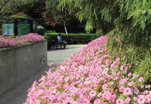 campus grounds