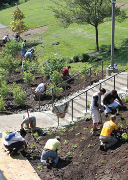 planting campus grounds