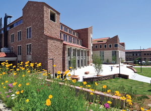 Sustainable Grounds