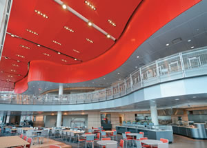 Ceiling Provides Aesthetics and Acoustics