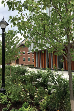 University of Connecticut new Student Recreation Center