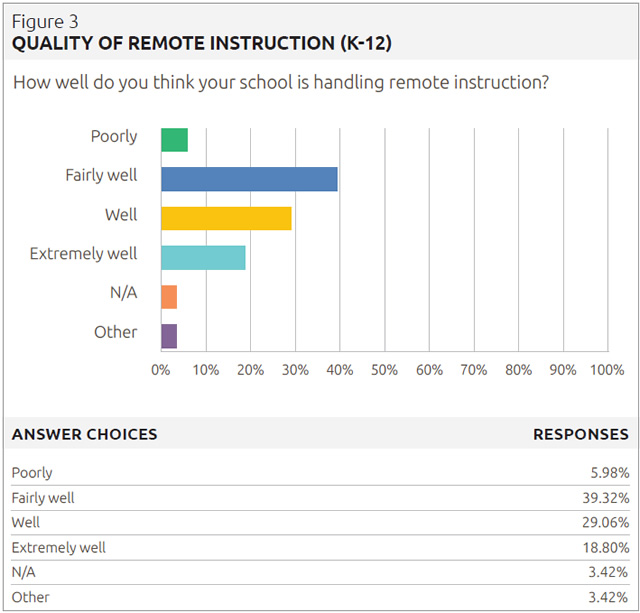 quality of remote instruction (K-12)