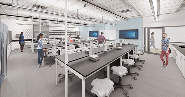 Top 4 Science Lab Design Factors -- Spaces4Learning