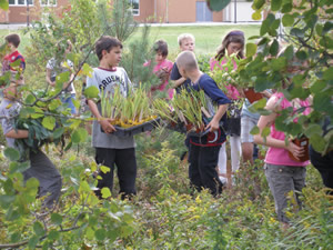 Greening Schoolyards