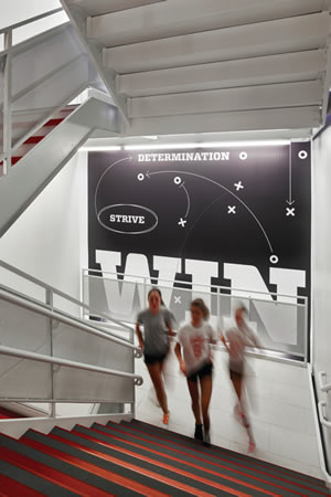 Sustainable Athletic and Wellness Center
