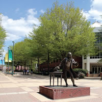 George Mason University