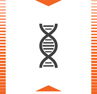 interdisciplinary design