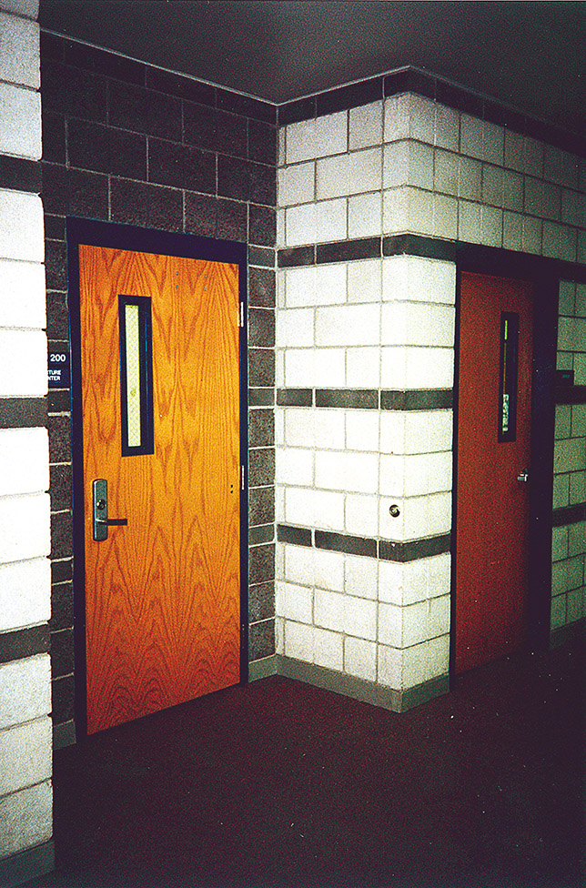 Overly Tall Wood Acoustic Door