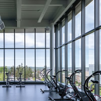 The College of the Holy Cross